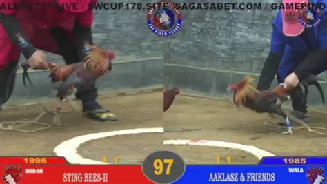 sabong 10x.liv|Livestream .